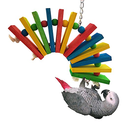 DAEDALUS dædalus ® Parrot Kauspielzeug Colorful Block mit Holz Perlen für Vogel Papagei Graupapageien Aras Sittiche Nymphensittiche Kakadus Sittiche Unzertrennliche Finch Käfig Spielzeug von Daedalus