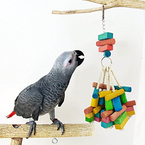 DAEDALUS dædalus ® Vogel Spielzeug bunt Holz Stick Block für Parrot Aras Graupapageien Wellensittich Sittiche Nymphensittiche Sittiche Unzertrennliche Kakadu Amazon Käfig Hängende Spielzeuge Decor von Daedalus