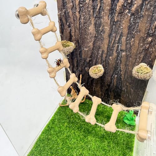 Daerky Springende Spinnenseilbrücke, magnetische Kletterbrücke, Spinnenversteck-Plattform, Springspinnengehege, Zubehör, 3D-Druck, magnetische Dekoration für kleine Reptiliengehege (Holzfarbe) von Daerky