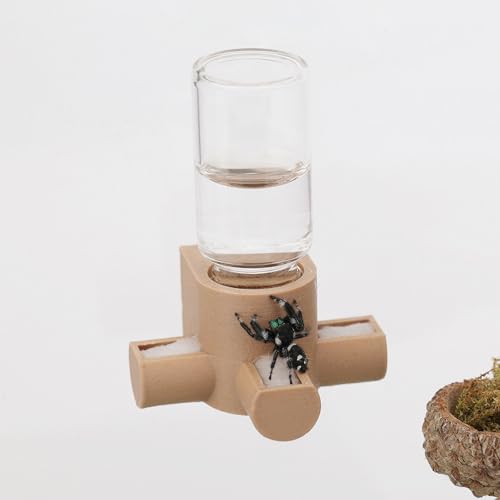 Daerky Springspinnen-Wasserspender, magnetischer Futterspender zum Aufhängen, geeignet für Springspinnen, Vogelspinnen, Beteranterinnen, Baumtiere und anderes Zubehör für Kleintiergehege, 5 ml (Holz) von Daerky