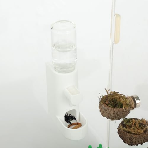 Daerky Wasserspender für kleine Tiere, magnetischer Futterspender zum Aufhängen und versteckte Höhle – Zubehör für springende Spinnen, Wolfspinnen, Mantisen, Baumtiere und andere kleine Kreaturen – 5 von Daerky