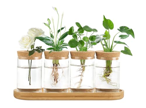 Dahey Pflanzgefäß für Pflanzen, Terrarium, Schreibtisch, Glas-Pflanzgefäß, Wasserpflanze, Glasvase mit Deckel und Holzständer für Anzucht von Hydrokulturpflanzen, Tafelaufsatz, Büro, Zuhause, Garten, von Dahey