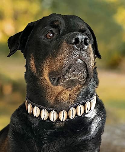 Muschel-Hundehalsband, handgefertigt, langlebig, natürliche Materialien, verstellbare Passform, Haustier-Schmuck, Haustier-Halskette, Muschelschmuck, Muschel-Halskette, Hundehalsband mit Muscheln, von Daisy's Dog Collars