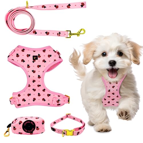 Daizzy Gear Hundegeschirr, kein Ziehen, einsteigen, weich und verstellbar, passendes Halsband, Geschirr und Leine, Set mit hochwertigem Zubehör und Kotbeutelhalter (Größe S, 2,5–6,6 kg, Rosa) von Daizzy Gear