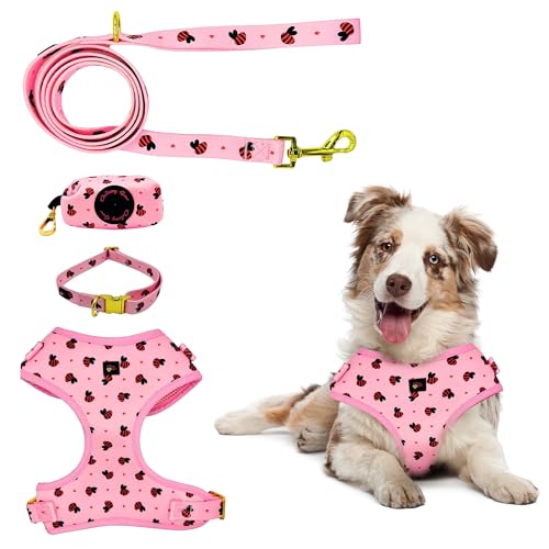 Daizzy Gear Hundegeschirr, kein Ziehen, weich und verstellbar, passendes Halsband, Geschirr und Leine, Set mit hochwertigem Zubehör und Kotbeutelhalter, Größe L, 10,9–20 kg, Rosa von Daizzy Gear