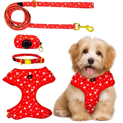 Daizzy Gear Hundegeschirr, kein Ziehen, zum Hineinsteigen, weich und verstellbar, passendes Halsband, Geschirr und Leine, Set mit hochwertigem Zubehör und Kotbeutelhalter, Größe M, 7,5–10,9 kg, Rot von Daizzy Gear