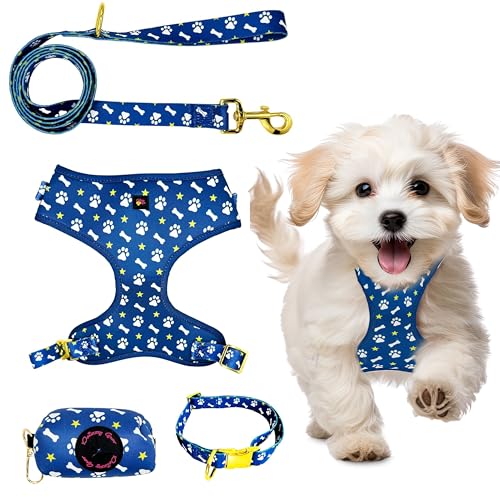 Daizzy Gear Hundegeschirr, kein Ziehen, zum Hineinsteigen, weich und verstellbar, passendes Halsband, Geschirr und Leine, Set mit hochwertigem Zubehör und Kotbeutelhalter, Größe M, 7,5–10,9 kg, Blau von Daizzy Gear