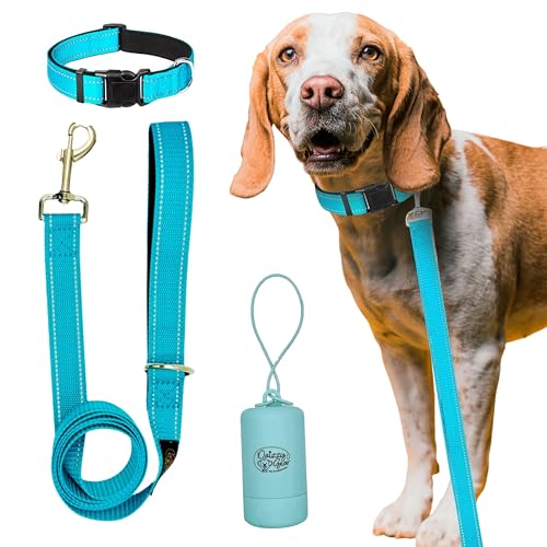 Daizzy Gear Reflektierende Hundeleine, Halsband und Beutelspender-Set – langlebige 1,5 m lange Leine für kleine, mittelgroße und große Hunde – weich mit gepolstertem Komfort zum Spazierengehen von Daizzy Gear