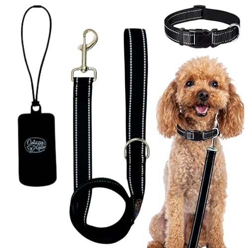 Daizzy Gear Hundeleine, Halsband und Kotbeutelspender-Set – hochreflektierend, langlebig, 1,5 m lange Leine für kleine, mittelgroße und große Hunde – weich mit gepolstertem Komfort zum Spazierengehen von Daizzy Gear