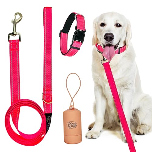 Daizzy Gear Reflektierende Hundeleine, Halsband und Beutelspender-Set – langlebige 1,5 m lange Leine für kleine, mittelgroße und große Hunde – weich mit gepolstertem Komfort zum Spazierengehen von Daizzy Gear