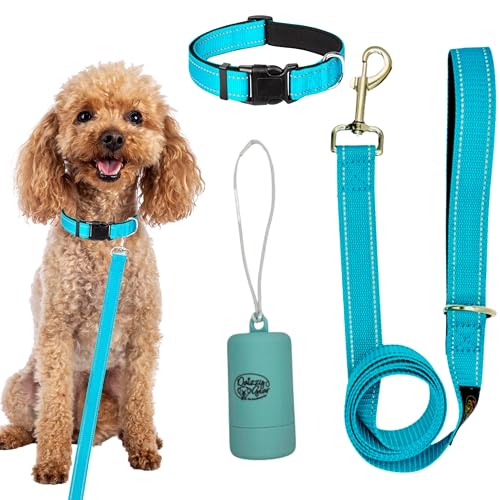 Daizzy Gear Reflektierende Hundeleine, Halsband und Beutelspender-Set – langlebige 1,5 m lange Leine für kleine, mittelgroße und große Hunde – weich mit gepolstertem Komfort zum Spazierengehen von Daizzy Gear