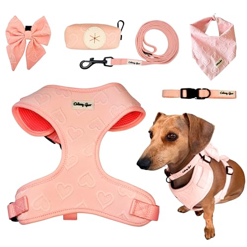 Petite Amoure Hundegeschirr-Set, passendes Geschirr, Halsband, Matrosenschleife, Bandana, Leine und Kotbeutelhalter, komplettes Haustierzubehör-Set (Medium, 7,5-10,9 kg, Rosa) von Daizzy Gear