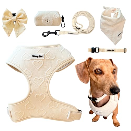 Petite Amoure Hundegeschirr-Set, passendes Geschirr, Halsband, Matrosenschleife, Bandana, Leine und Kotbeutelhalter, komplettes Haustierzubehör-Set (Medium, 7,5-10,9 kg, Weiß) von Daizzy Gear