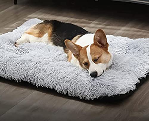 DanChen HundeBett Plüsch Waschbares Haustierbett Mittelgroße Hundekissen Wasserdicht Weiches Hundesofa Rutschfestem Flauschig Hundematte-122x85cm-Hellgrau von DanChen