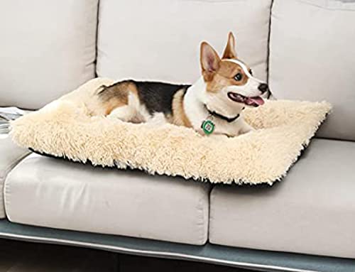 DanChen HundeBett Plüsch Waschbares Haustierbett Mittelgroße Hundekissen Wasserdicht Weiches Hundesofa Rutschfestem Flauschig Hundematte-43x30cm-Beige von DanChen