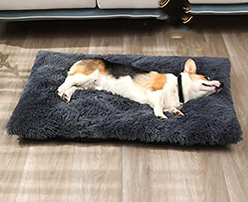 DanChen HundeBett Plüsch Waschbares Haustierbett Mittelgroße Hundekissen Wasserdicht Weiches Hundesofa Rutschfestem Flauschig Hundematte-53x38cm-Dunkelgrau von DanChen