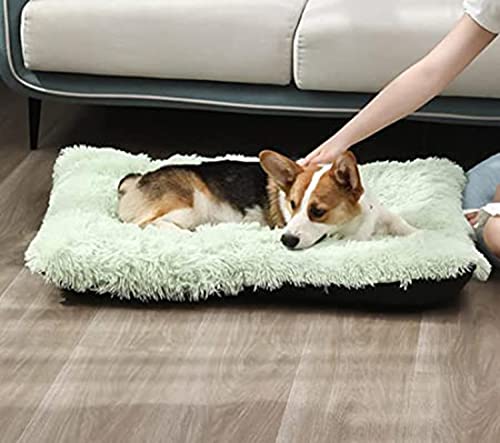 DanChen HundeBett Plüsch Waschbares Haustierbett Mittelgroße Hundekissen Wasserdicht Weiches Hundesofa Rutschfestem Flauschig Hundematte-53x38cm-Grün von DanChen