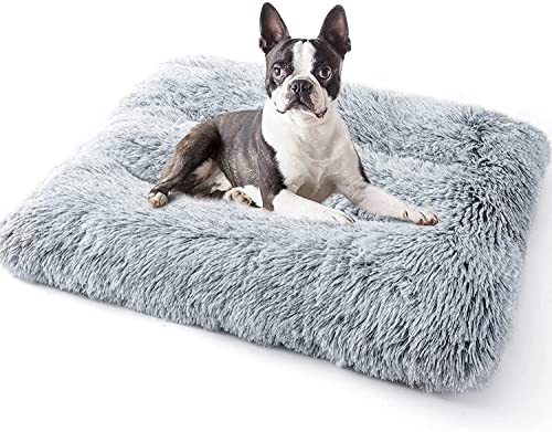 DanChen Hundebett Grosse Hunde Hundekörbchen Flauschig Haustierbett rutschfest Orthopädisches Hundekissen Plüsch Weich Hundematte Katzenbett-122x83cm-Hellgrau von DanChen