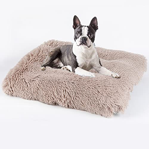 DanChen Hundebett Waschbar Flauschig Plüsch Hundekissen Weich Kuscheliger Hundesofa 122x83cm rutschfeste Haustierbett für Große Mittelgroße Kleine Hunde Katzen,Khaki von DanChen