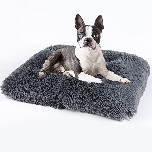 DanChen Hundebett Waschbar Flauschig Plüsch Hundekissen Weich Kuscheliger Hundesofa 109x72cm rutschfeste Haustierbett für Große Mittelgroße Kleine Hunde Katzen,Dunkelgrau von DanChen