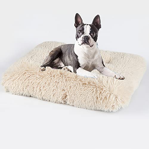 DanChen Hundebett Waschbar Weich Hundekissen Grosse Hunde 122x83cm Flauschig Hundematte Plüsch Katzenbett Mittelgroße Hunde Katzen Hundesofa XXL Orthopädisches Hundekorb-Beige von DanChen