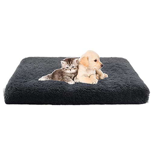 DanChen Hundebett mit Memory Foam, Orthopädische Abnehmbarem Hundematte Wasserdicht Rutschfestem Hundekissen Flauschig Katzenbett Mittelgroße Katzen Hunde Haustierbett,75x50x6cm,Dunkelgrau von DanChen