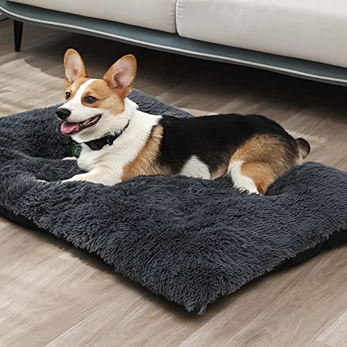 Plüsch Hundematratze Hundebett Waschbar Hundekissen Flauschig XL XXL Hundematte rutschfeste Orthopädisches Hundesofa 122x85cm Haustierbett für Mittelgroße Hunde Katzen von DanChen