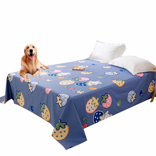 Danchen Hunde- und Katzenbettdecke, Sofabezug, Haustier-Matratze, Möbelschutz, waschbarer Möbelschutz, wasserdichte Haustierdecke, Bettlaken (160 x 230 cm, Blau-Frucht) von Danchen