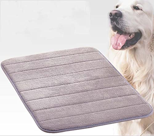 Danchen Hundebett Katzenmatte 100 x 60 cm waschbar Hundebox Matratze Weicher, dünner Schaumstoff Haustierbetten Zwinger Pad Orthopädisches Hundekissen Kissen Polsterung, rutschfest von Danchen