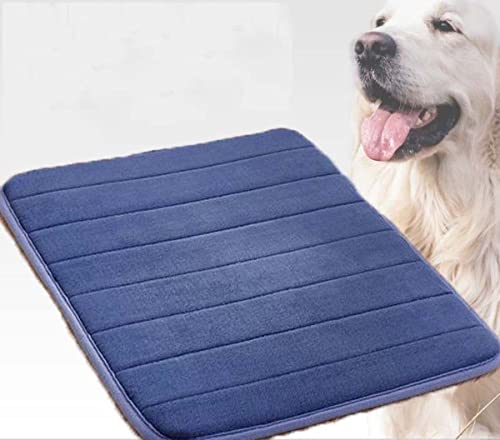 Danchen Hundebett, Katzenmatte, waschbar, 160 x 80 cm, weich, dünn, Schaumstoff, Haustierbetten, Hundehütte, orthopädisches Hundekissen, Polsterung, rutschfest von Danchen