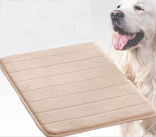 Danchen Hundebett, Katzenmatte, waschbar, 60 x 40 cm, weich, dünn, Schaumstoff, Haustierbetten, Hundehütte, orthopädisches Hundekissen, Polsterung, rutschfest von Danchen