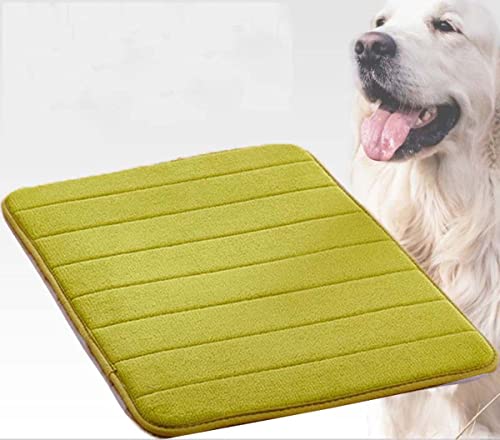 Danchen Hundebett, Katzenmatte, 80 x 50 cm, waschbar, weich, dünner Schaumstoff, Haustierbetten, Hundehütte, orthopädisches Hundekissen, Polsterung, rutschfest von Danchen