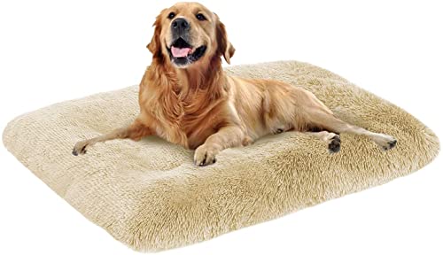 Danchen Ultraweiches großes Hundebett, 70 x 50 x 8 cm, hochwertiges warmes Plüsch-Hundekissen, abnehmbar, waschbar, rutschfeste Hundebox-Matratze, beruhigendes Hundebett, Beige von Danchen