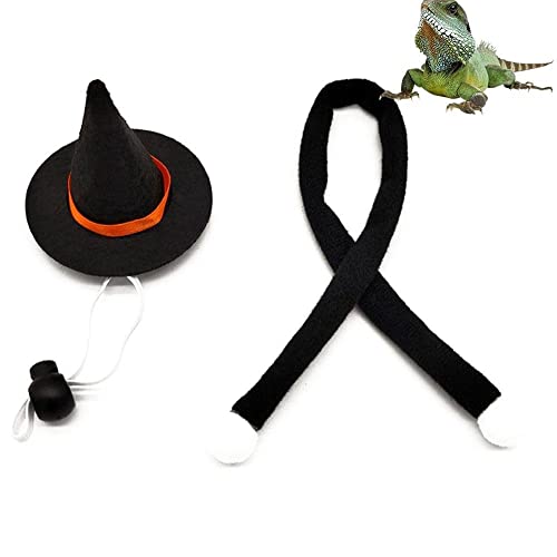 1set Cat Witch Wizard Hut Katzenkostüm Für Halloween -partys Haustier Halloween Kostüme Spinne von Danlai