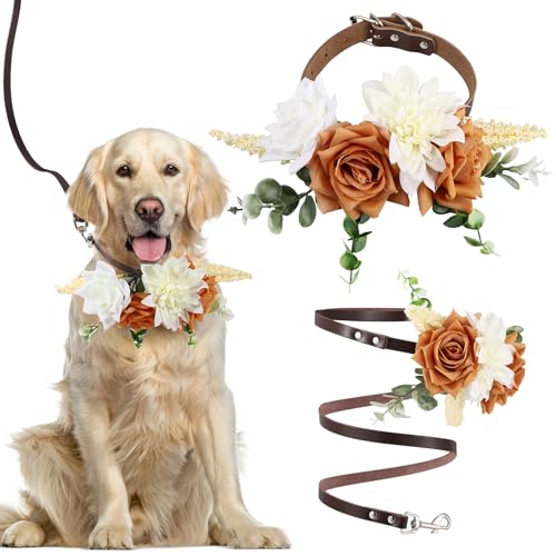 Dansydaisy Hundehalsband mit Blumenmotiv, Leder, Hundehalsband mit Leine, verstellbar, Blumenhalsband, Haustier-Dekoration, Haustier-Foto-Requisite, Hund, Hochzeitskleidung, Dekoration von Dansydaisy