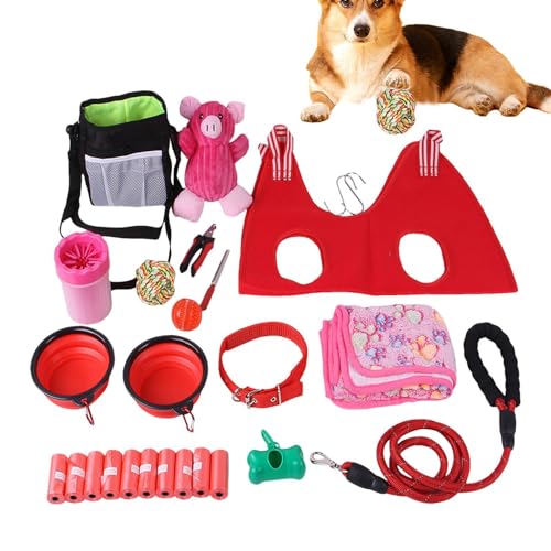 Hunde-Agility-Trainingsausrüstung, Hundegeschirr-Set - Multifunktionales Hundezubehör Hundespielzeug,Trainingsausrüstung, sicheres Spielzeugpaket für das Lauftraining und mittelgroßer Haustiere von Darwaza