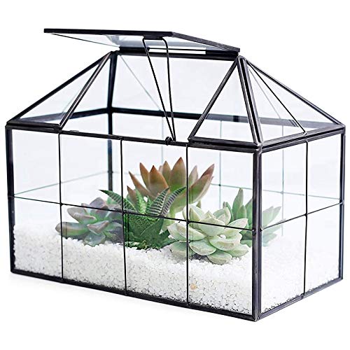 Dasertoe Glas-Terrarium, handgefertigt, Hausform, geometrischer Glasbehälter mit Schwingdeckel, Übertopf für den Innenbereich, für Sukkulenten von Dasertoe