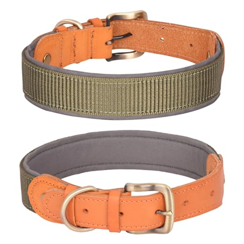 Daugezal Taktisches Hundehalsband, echtes Leder, verstellbar, militärisches Training, mit Metallschnalle für mittelgroße und große Hunde, ultraweiche Baumwolle, gepolstert, Colorblock-Stil (XL, Grün) von Daugezal