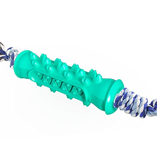 DawnDream Hundespielzeug UnzerstöRbar Jagged Hundespielzeug Molar Stick Zahnbürste Pet Kau Baumwollseil Hundespielzeug (Color : Cyan) von DawnDream