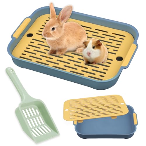 Kaninchen Toilette mit Schaufel, Tablett Hasentoilette, Kaninchentoilette, Katzenklo Klein, Haustier WC Trainer für Kleintier Hamster Meerschweinchen (Blau) von Dawumin