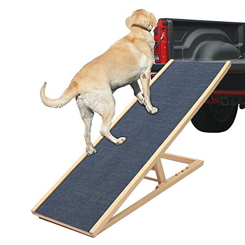 DayPlus Hunderampe Großen Hunde Rampe Hundetreppe Hundeautorampe Kofferraumrampe für Haustiere, höhenverstellbar, 100 × 40 cm, Höhe 30/40/50/60cm von DayPlus