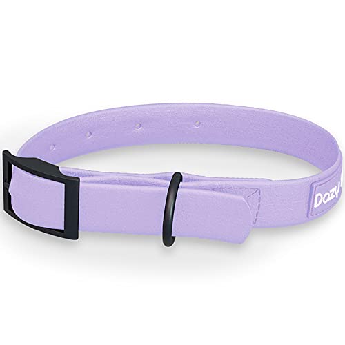 Dazy Dog Dura Allwetter-Halsband – langlebig – wasserdicht – geruchsfrei – stärker als Leder – leicht zu reinigen – hohe Leistung – Designer (klein, lila) von Dazy Dog