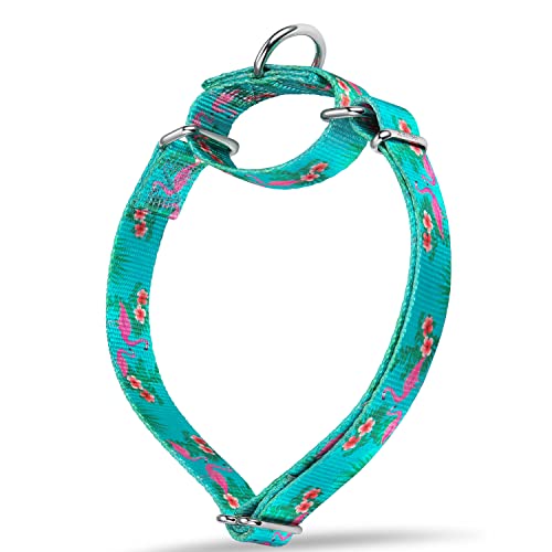 Dazzber Forest Elf Series Martingale Hundehalsbänder, seidig weich mit einzigartigen Mustern für mittelgroße und große Hunde (XS, breit, 1,6 cm, rosa Flamingo) von Dazzber