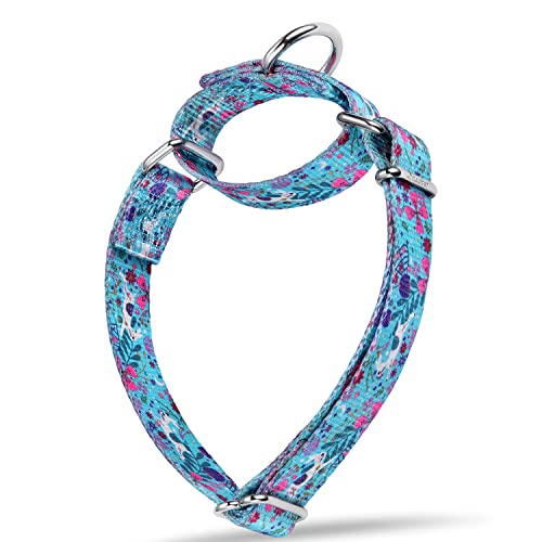 Dazzber Hundehalsband mit Waldtiermuster, Martingale-Hundehalsband, seidig weich und stabil für mittelgroße und große Hunde (klein, breit, 1,6 cm, Spirit Rabbit-Minzblau) von Dazzber