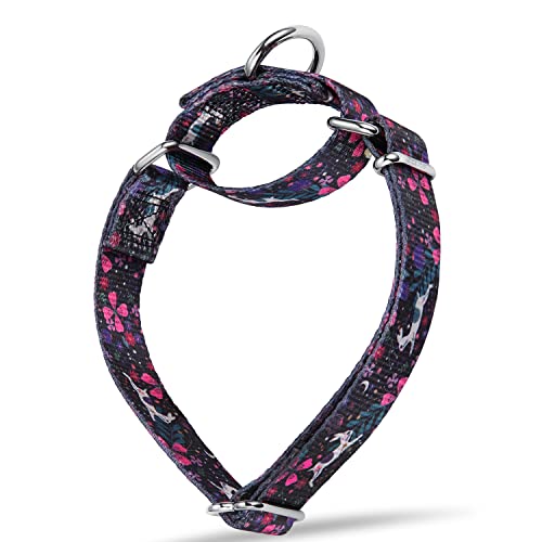 Dazzber Martingale Halsband – Hundehalsband – neues und lustiges Muster, strapazierfähiges Trainingshalsband (ohne Schnalle) für kleine, mittelgroße und große Hunde (Medium, 2,5 cm breit, Spirit von Dazzber