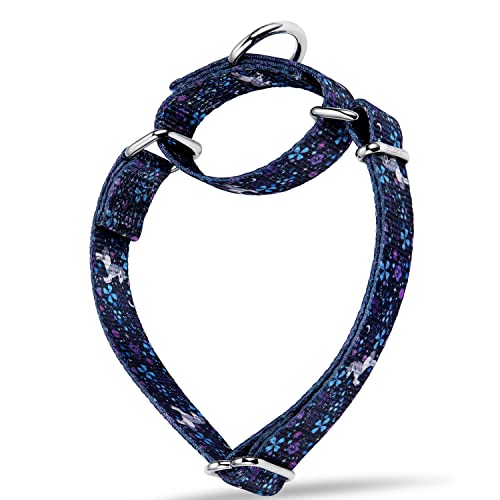 Dazzber Forest Elf Series Martingale Hundehalsband, seidig weich mit einzigartigen Mustern für mittelgroße und große Hunde (Medium, 2,5 cm breit, Traum-Einhorn) von Dazzber