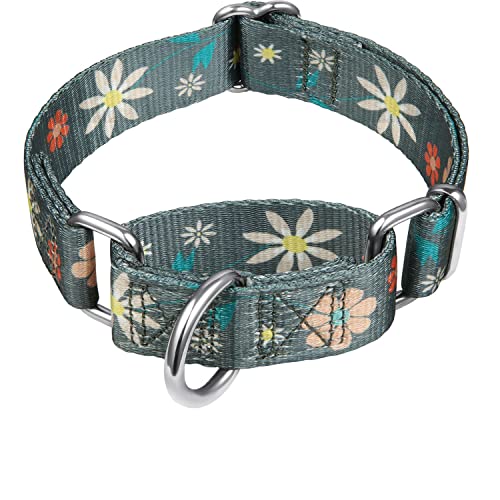 Dazzber Hundehalsband mit Blumendruck, Martingale-Halsband, kein Ziehen, strapazierfähig, verstellbar, Größe XS, Halsumfang 20,3 - 27,9 cm, elegante Blumen (warmes Grau) von Dazzber