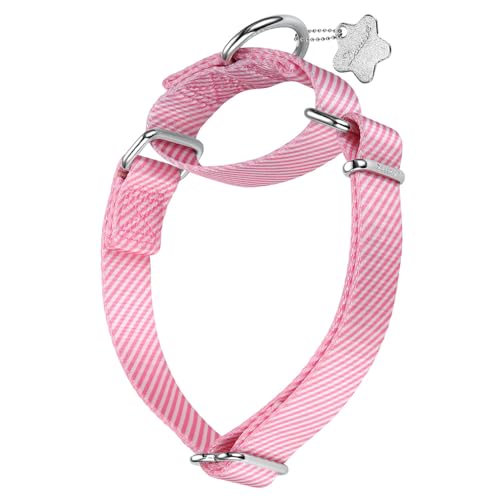 Dazzber Hundehalsband mit Waldtiermuster, Martingale-Hundehalsband, seidig weich und stabil, für mittelgroße und große Hunde (Babyrosa gestreift, Größe L, 2,5 cm breit) von Dazzber