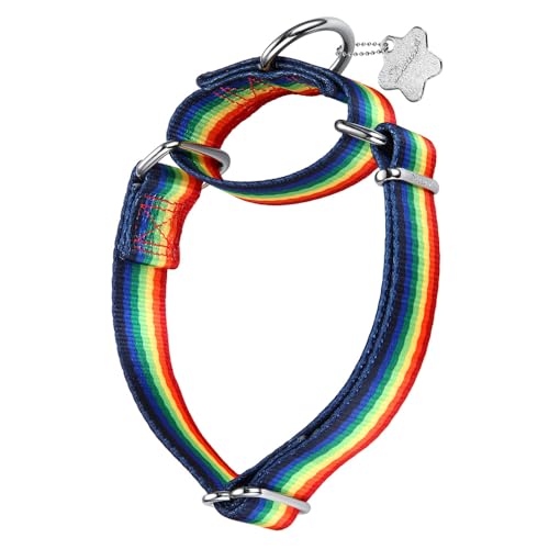 Dazzber Martingale Halsband – Hundehalsband – neues und lustiges Muster, strapazierfähiges Trainingshalsband (ohne Schnalle) für kleine, mittelgroße und große Hunde (Regenbogen, groß, 2,5 cm breit) von Dazzber