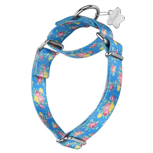 Dazzber Hundehalsband mit Waldtiermuster, Martingale-Hundehalsband, seidig weich und stabil, für mittelgroße und große Hunde (Rosenblüte, Größe M, 2,5 cm breit) von Dazzber